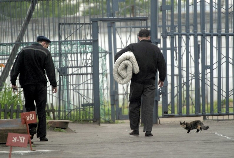 kakie-organizacii-neobkhodimo-posetit-srazu-zhe-posle-osvobozhdeniya