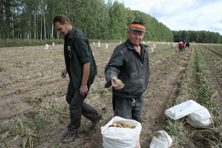 rabota-postoyalcev-kolonij-poselenij